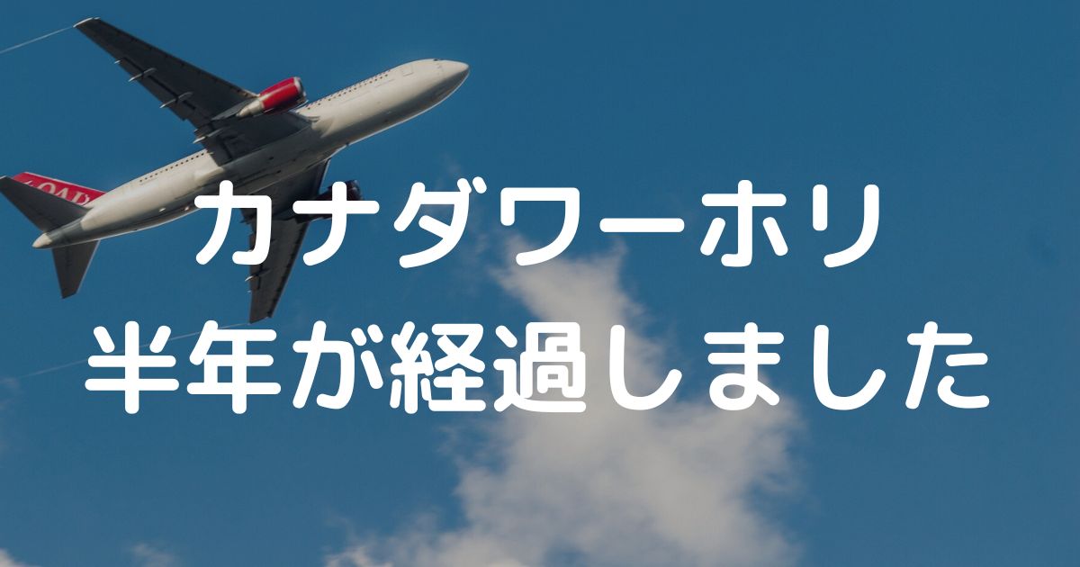 半年経過しました